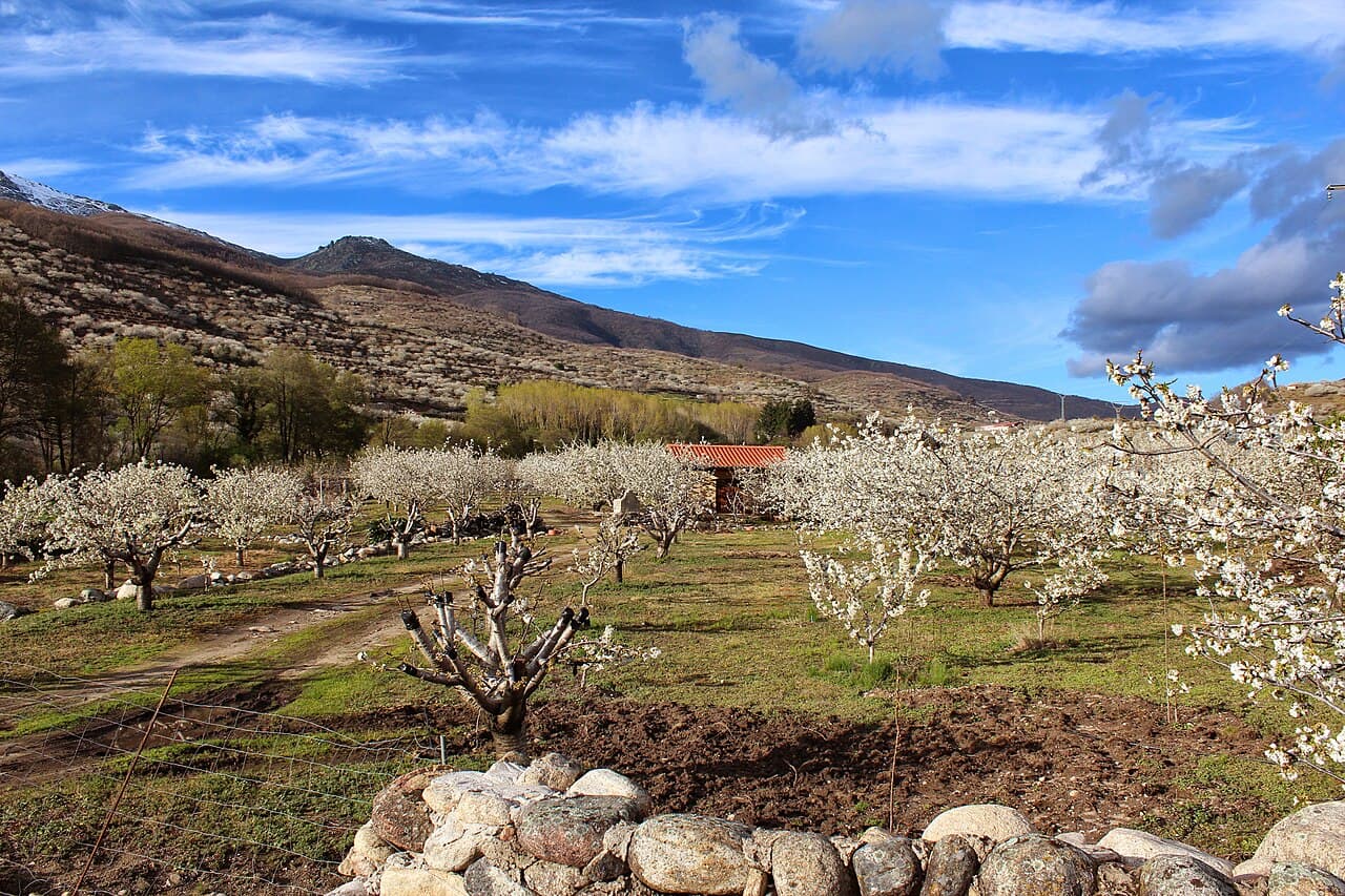 Fotografía de Valle del Jerte